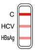 HBsAg och HCV 2 i 1 snabbtest